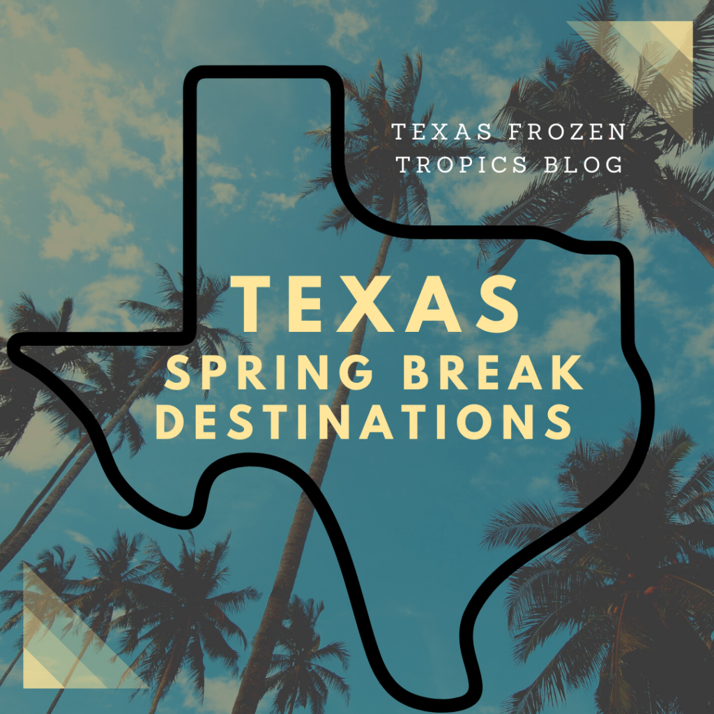 Texas Spring Break Destinations Texas Frozen Tropics