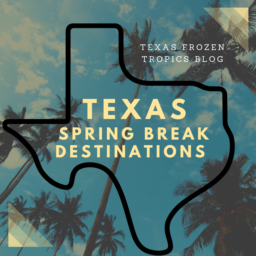 Texas Spring Break