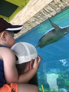 SeaWorld San Antonio Texas Spring Break