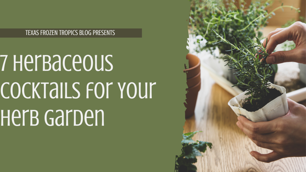 7 Herbaceous Cocktail Recipes for Your Herb Garden