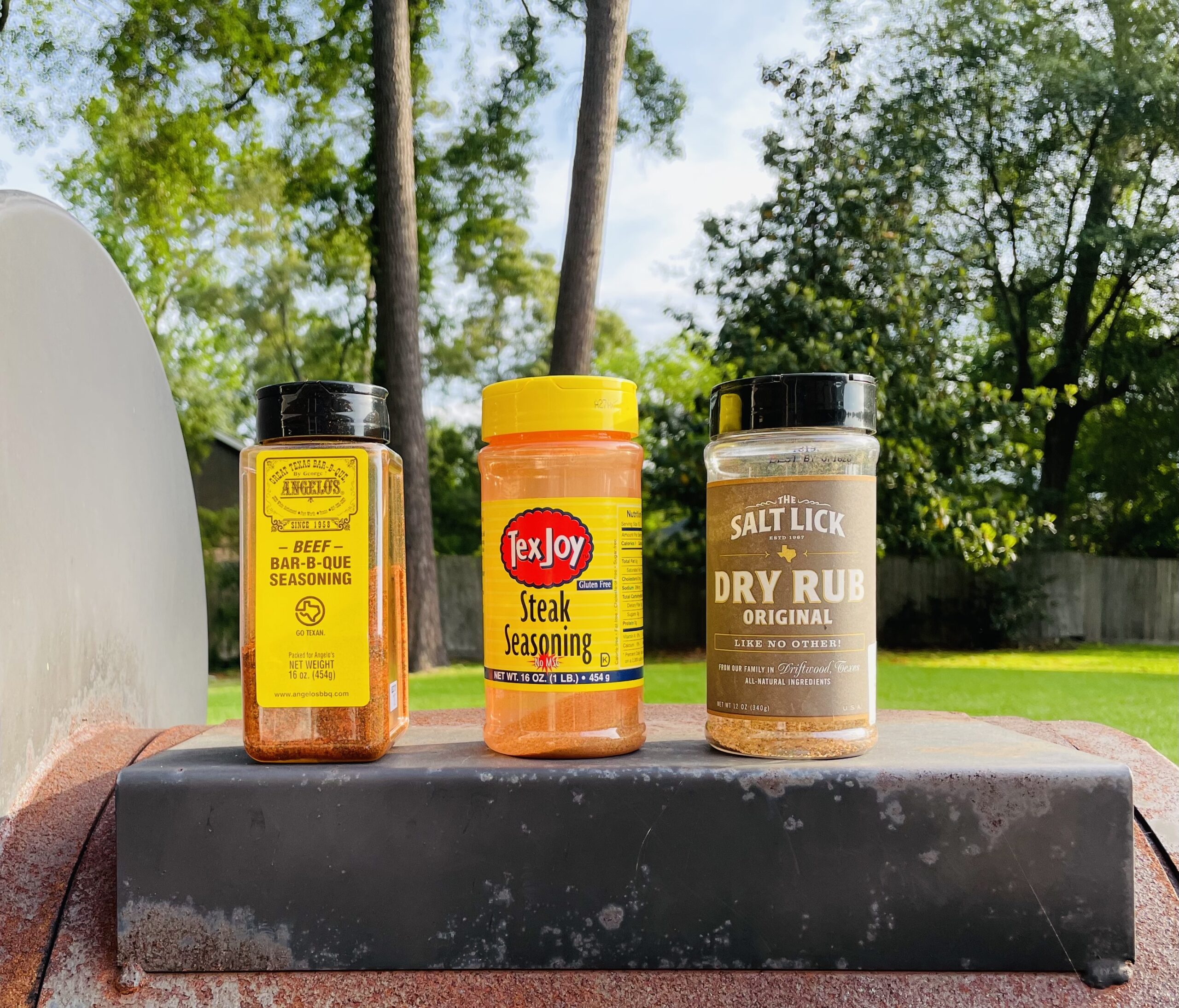 National BBQ Month Favorite Seasoning