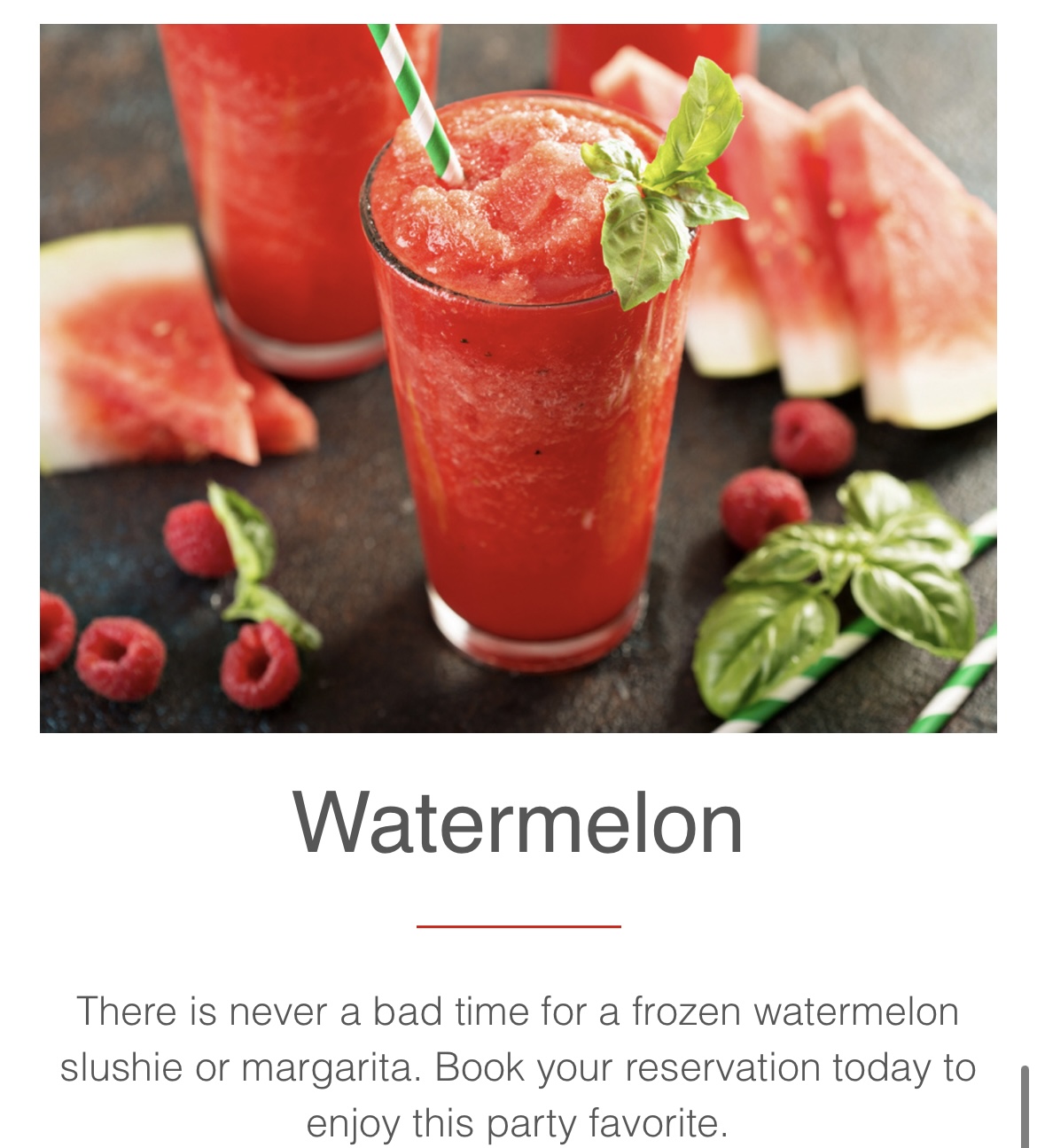 National BBQ Month Watermelon Texas Frozen Tropics