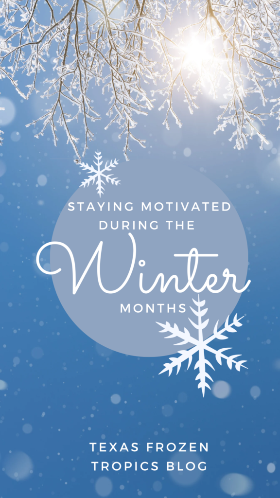 Staying Motivated During The Winter Months Texas Frozen Tropics 